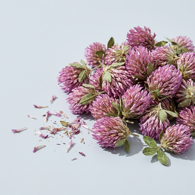 Red Clover